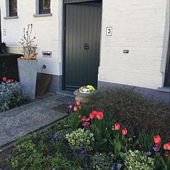 B&B Het Colettientje