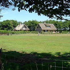 6p.Rietgedekte Vakantiehuis Eldorado Texel