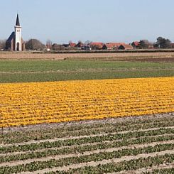 De Kemphaan: Bungalow