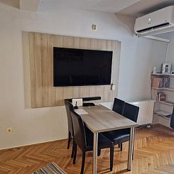 Apartment Viktor