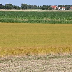 appartement Zeepolder