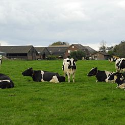 3901 Boerderij Leiden