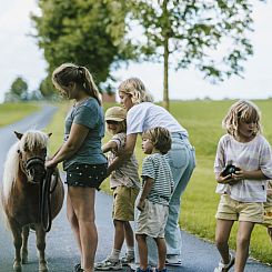 Boerderijvakantie 't Donderswal