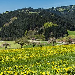 Vakantiehuis in Oberharmersbach