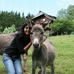 Vakantiehuis in Triberg