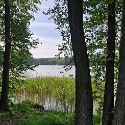 Huisje in Zehdenick