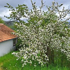 Vakantiehuisje in Spangenberg-Elbersdorf