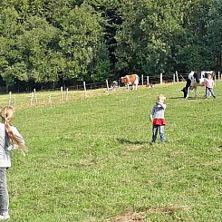 Comfortabel 5 persoons vakantiehuis op de boerderij in