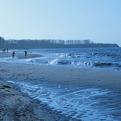 Koppelblick & Heidenholz XXL