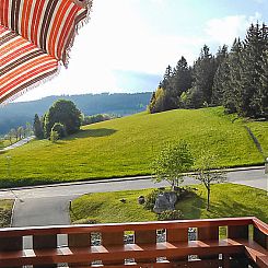 Appartement App. 1406 / EX-Kurhotel Schluchsee