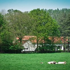 Vakantiehuisje in Holsbeek