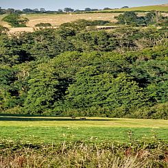 Gite Bourgogne rust & natuur