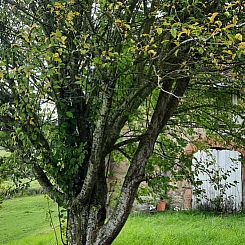 Vakantiehuisje in Saint Didier sur Arroux