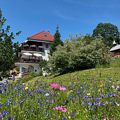 Schwarzwald Aparthotel Kräutle