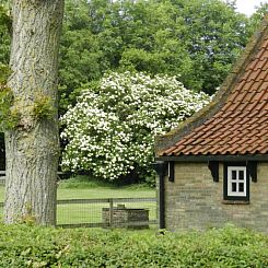 Vakantiehuis Kiewiet Ameland