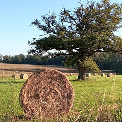 Huisje in Parsac-Rimondeix