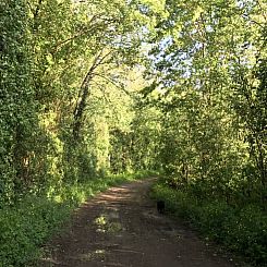 Vakantiehuisje in Mérigny