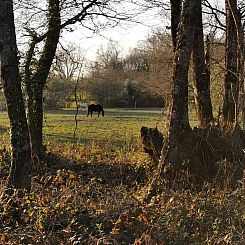 Vakantiehuis in Vigoux