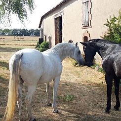 Vakantiehuisje in Vigoux