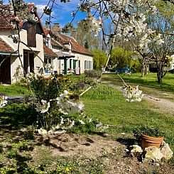 Vakantiehuisje in Sainte-Gemme