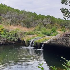 Domaine ayrolet