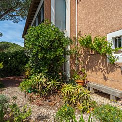 Appartement Les Palmiers