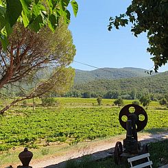 Vakantiehuisje in Bormes les Mimosas