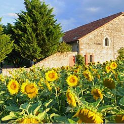 Vakantiehuis in Touffailles