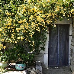 Vakantiehuisje in Villeneuve-de-berg