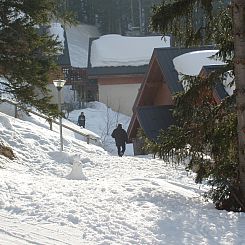 Chalet - Oz-en-Oisans