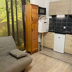 Appartement Le Savoisien