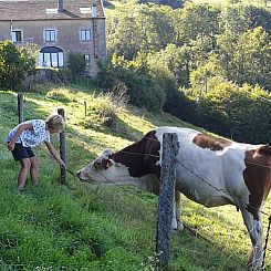 Huisje in Le Val d'Ajol