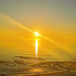 Prachtige geschakelde villa aan ijsselmeer