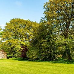 Vakantiehuis Beech Lodge