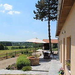 House with a view