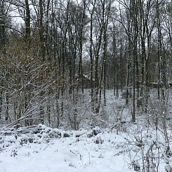 Vakantiehuisje in Couvin Bruly de Pesche