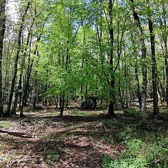 Vakantiehuisje in Oignies-en-Thiérache