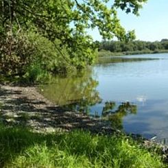 Vakantiehuisje in Longchamps Bertogne