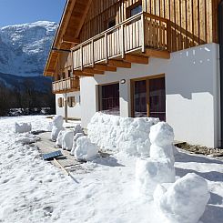 Luxery Salzkammergut Chalet E