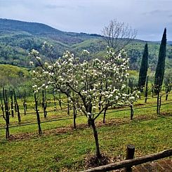 Vrijstaande woning in Umbrië, Italië