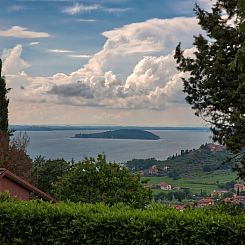 Casa Fiori - I Geranei