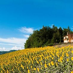 Vrijstaande woning in Marche, Italië