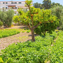 Appartement Villa Tavaglione