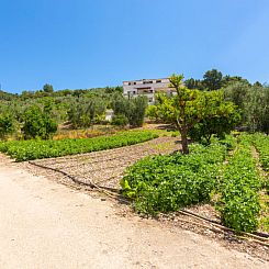 Appartement Villa Tavaglione