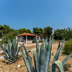 Vakantiehuis Dundo House