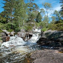 Vakantiehuis Førevanns Hytta