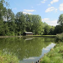 Les Peupliers de la pecherie