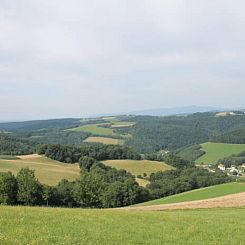 Huisje in Hochneukirchen