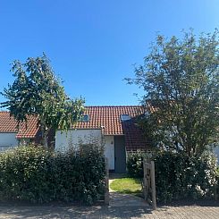 A little white house with a tree by the sea