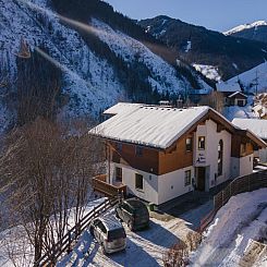 Alpensteinbock Saalbach L